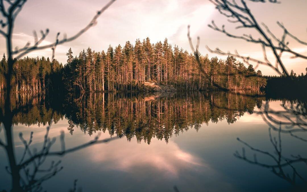 Mikä mainostoimisto Joensuusta sopii sinulle? – Listasimme parhaat!